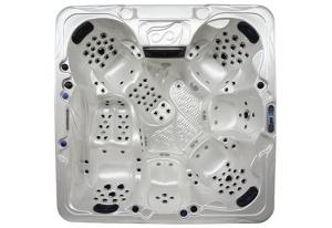  Balboa Hot Tub & Swing Spas (1~8 Persons Spa) Manufactures