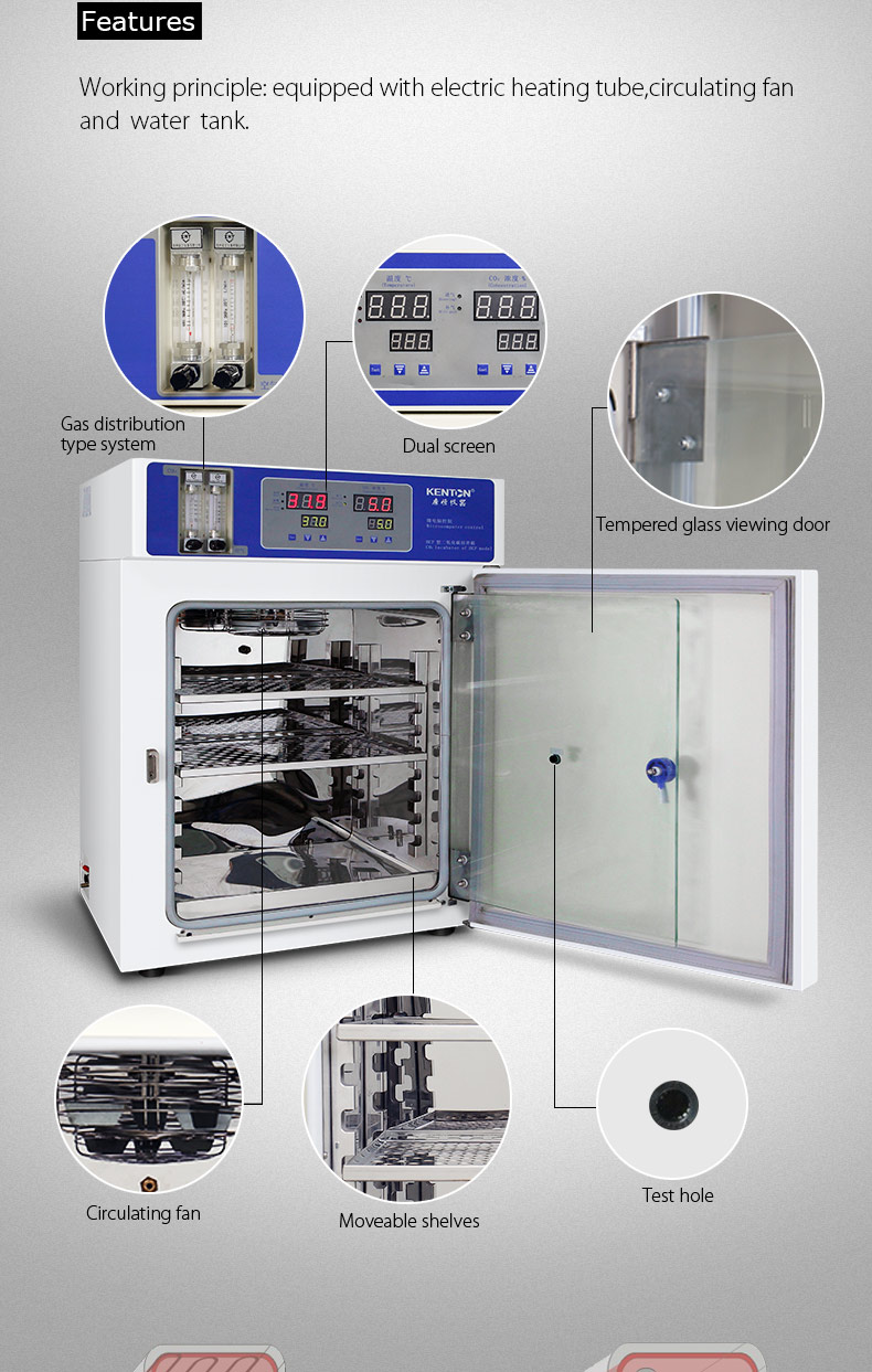 Stainless Steel Inner Cell Culture Incubator Lab Tissue Culture Incubator 160L