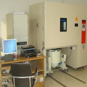 Custom AGREE Chambers with Both Vertical and Horizontal Vibration Systems