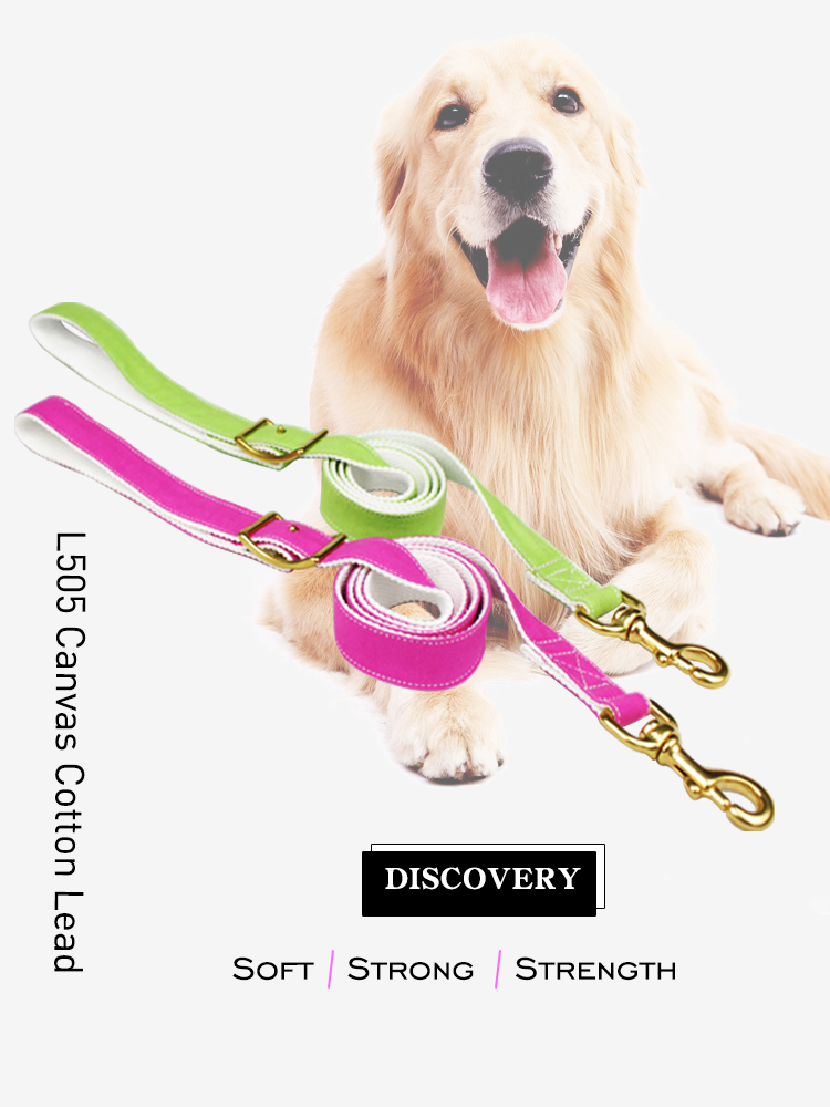 Durable Running Canvas Padded Pet Dog Leash , Colorful European Dog Leash