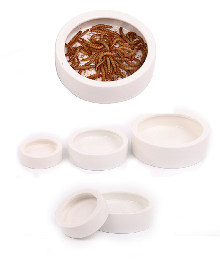 Pet Bowl Prevents Bread Worms Setting Escaping Lizard Ceramic Water Food Dish Reptile