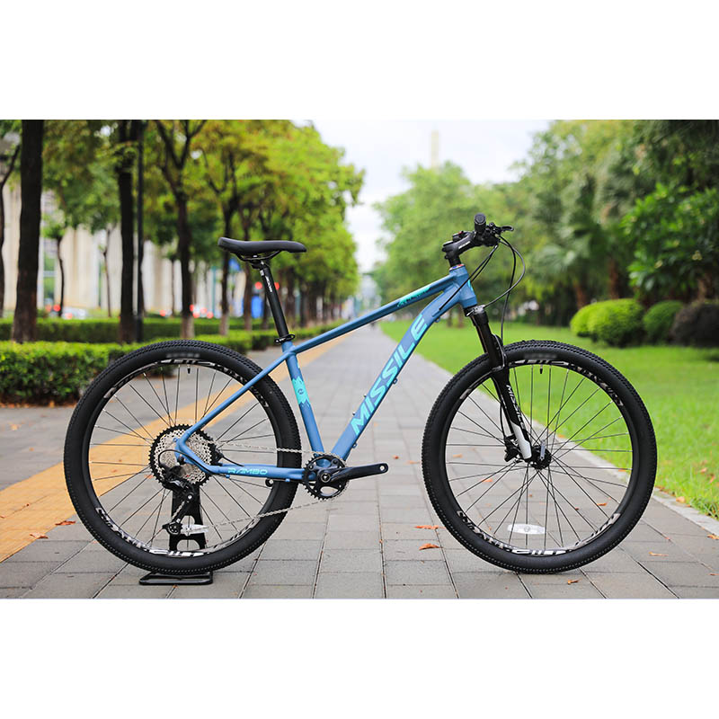 Durable 11speed Oil Brake Mountain Bike with High Cost Performance and Ordinary Pedal