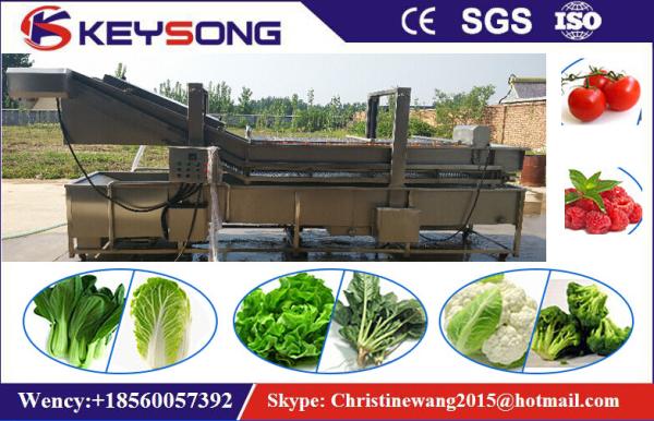 Industrial Bubble Vegetable Washer Machine , Big Capacity Vegetable Processor