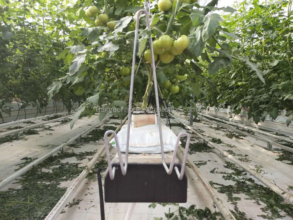 PE Material Hydroponic Vegetable Vertical Farming Groove System for Easy and Planting