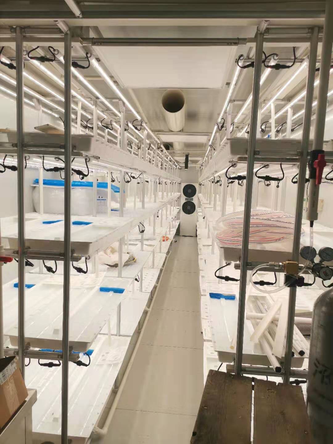 Freezer Shipping Container Farm Hydroponic Green Efficient Growth Plant Container