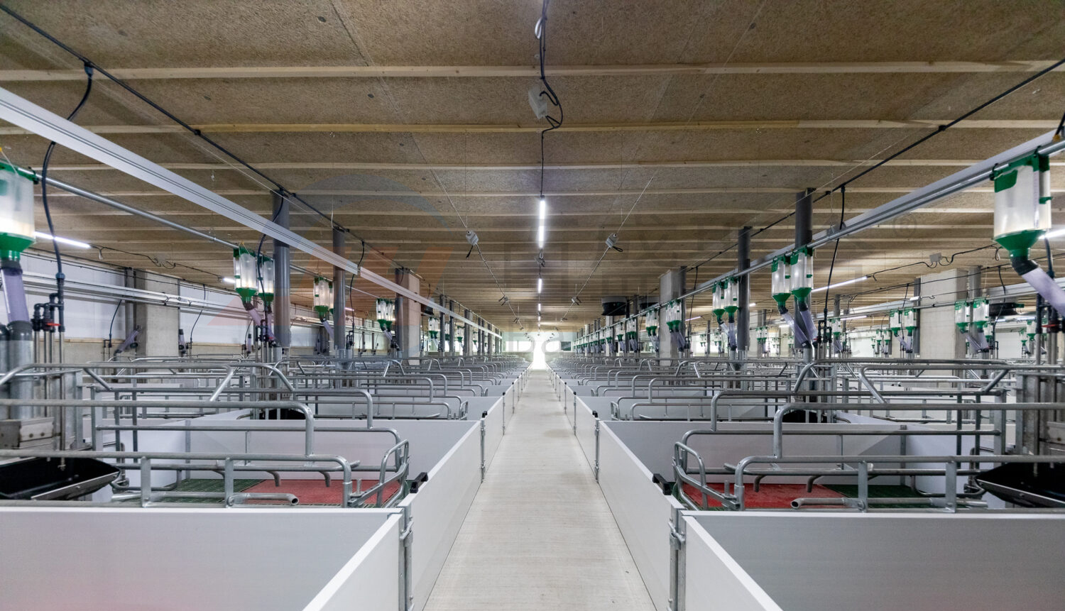 High Tolerance Pig Farrowing Crates for Customized Agricultural Livestock Equipment