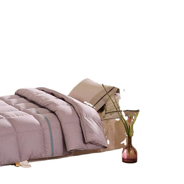 Materials Antibacterial Australian Wool Quilt Core Bedding Set with Solid