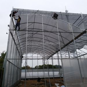 Single Layer Greenhouse Hydroponics System Wrought Iron Greenhouse With Film