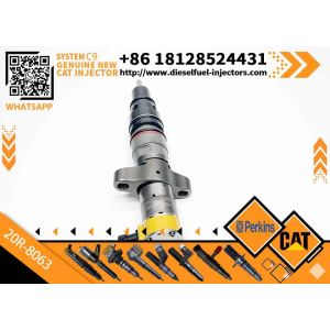 China 20R8063 OE387-9434 Diesel Fuel Injector 20R8063 20R-8063 for Cat D6R D6R III D6T D7R D7R LGP D7R XR 2290 511 on sale