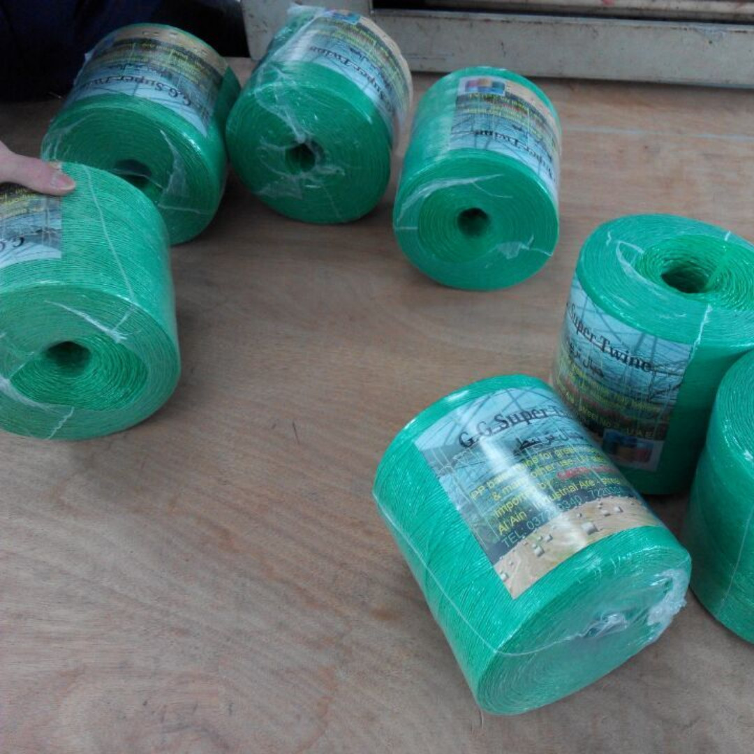 1000m/kg 1200m/kg White Polypropylene PP Tomato Grow Tying Strong Twine for Field or Greenhouse Use