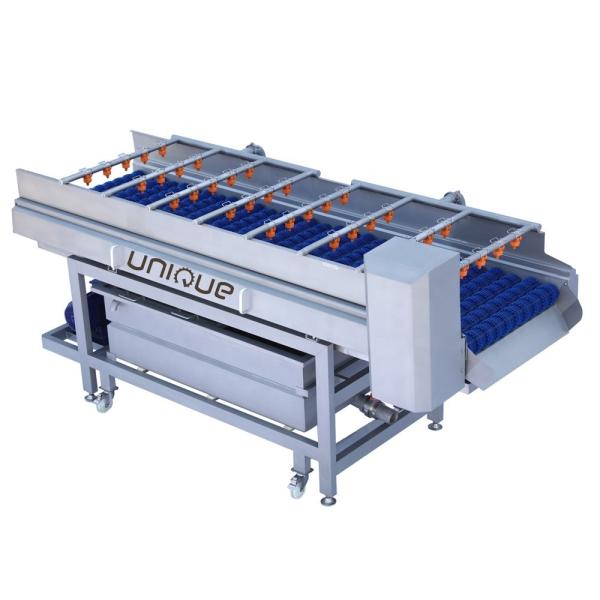 Mango Brush Cleaning Machine for Pear Apple Carrot Mud Cleaning 3000*1250*1350
