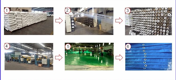 500D-1500D Yarn Count Coated PE Tarpaulin Sheet for Customized Water Proof Protection