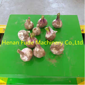 garlic root and stem cutting machine, fresh garlic root cutter