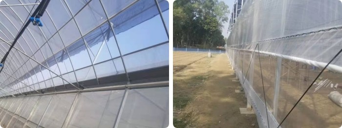 8m Wide Span Tomato Greenhouse Farming Commercial Poly Tunnel With Shading System Spray Irrigation System