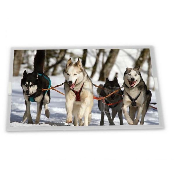 LM238WF2-SSM2 23.8 TFT LCD Display Modules Quality supplier supplier lcd panel