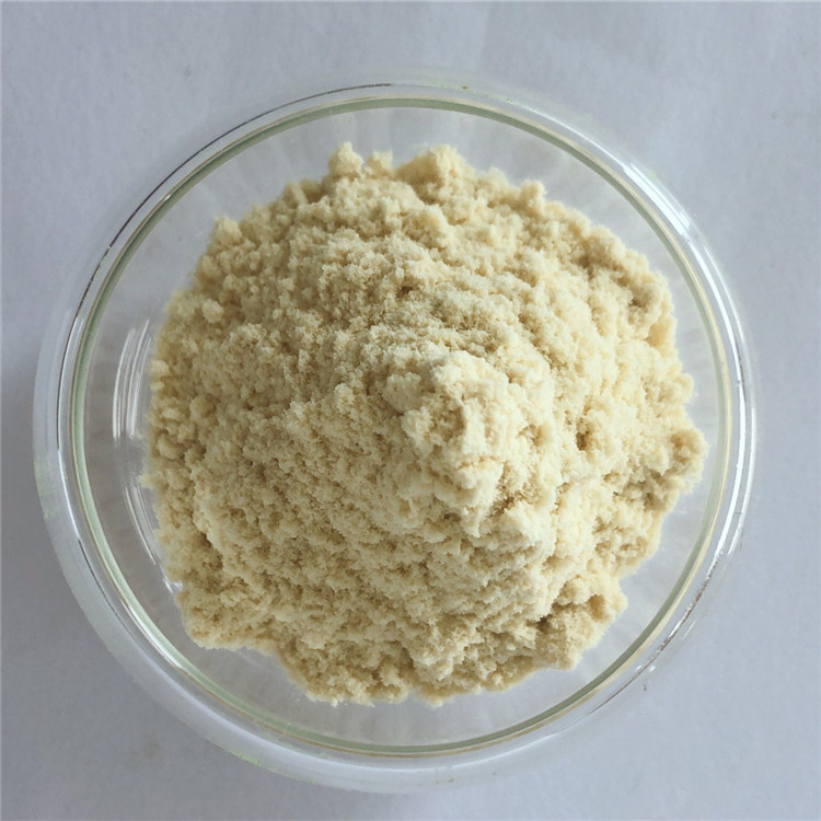 wholesale rheumatism capsule root extract baikal skullcap in bulk
