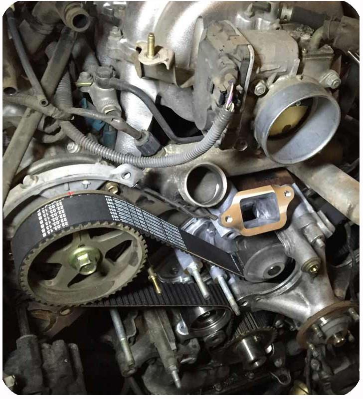 Customized PU Steel Cord Timing Belt for All Type to Meet Your Needs