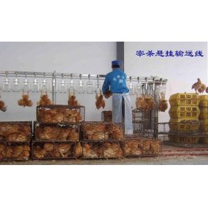 Customized Capacity Chicken Bleeding Line With Stainless Steel Slaughter Machine