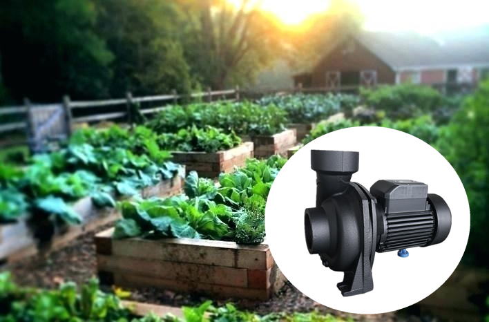 centrifugal water pump NFM