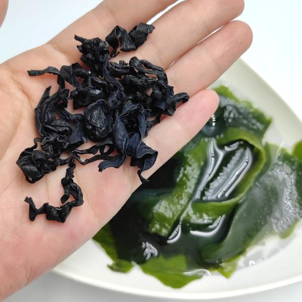 Unlock the Versatility of Wakame: Chewy, Dark Green Leaves for Soups, Snacks &