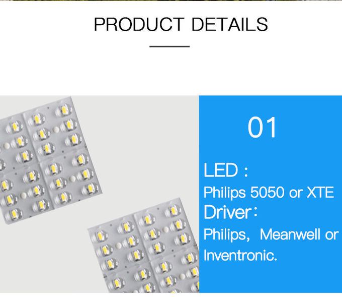 ENEC 60W 100W Post Top Urban LED Lights for Garden