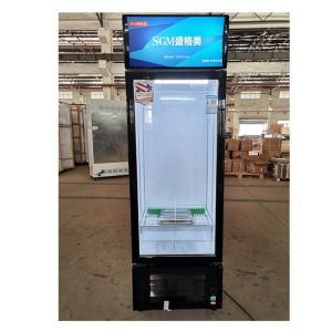 China Drinks Commercial Single Door Upright Freezer 210L Beverage Display Cooler on sale