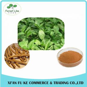 Wildginger Herb Indigowoad Root Extract / Radix Isatidis Extract 10:1