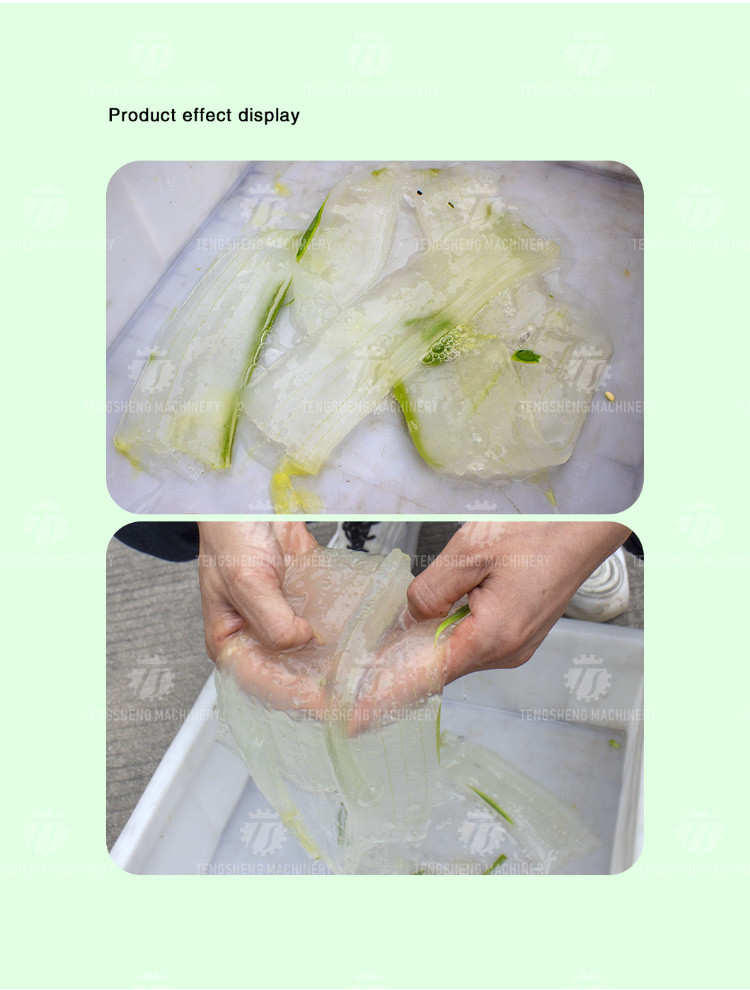 0.75KW Fruit And Vegetable Peeler Machine Aloe Food Processor