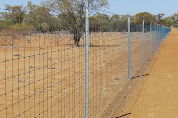 KEYSTONE STEEL & WIRE Monarch Deacero Steel field fence panels 3 ft. H x 50 ft.