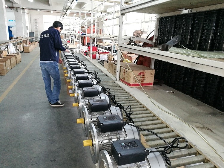 Single Phase Capacitor-run Induction Motors 0.09kw 0.12hp In Agricultural Fields