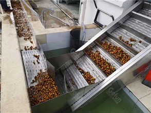 20T/H Automatic Tomato Processing Machine 304 Stainless Steel