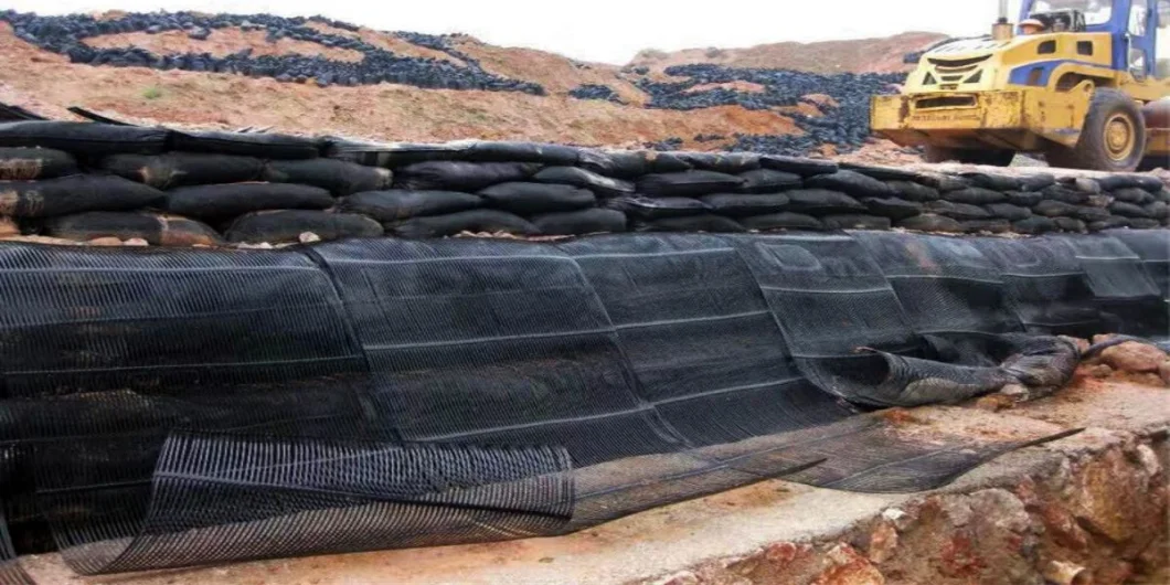 PP PE High Strength Plastic Uniaxial Geogrid for Retaining Wall From China