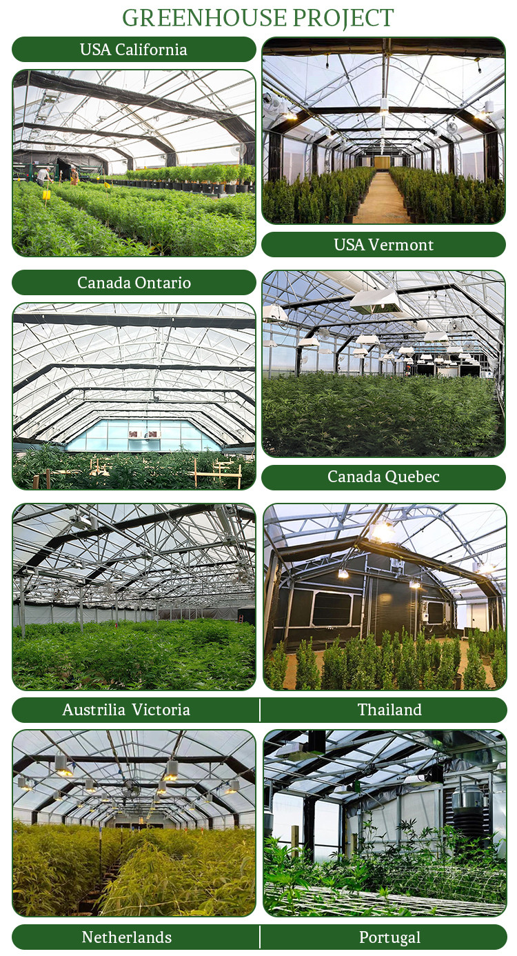 Light Deprivation High Grade Aluminum Alloy Frame Greenhouse For Marijuana Cultivation