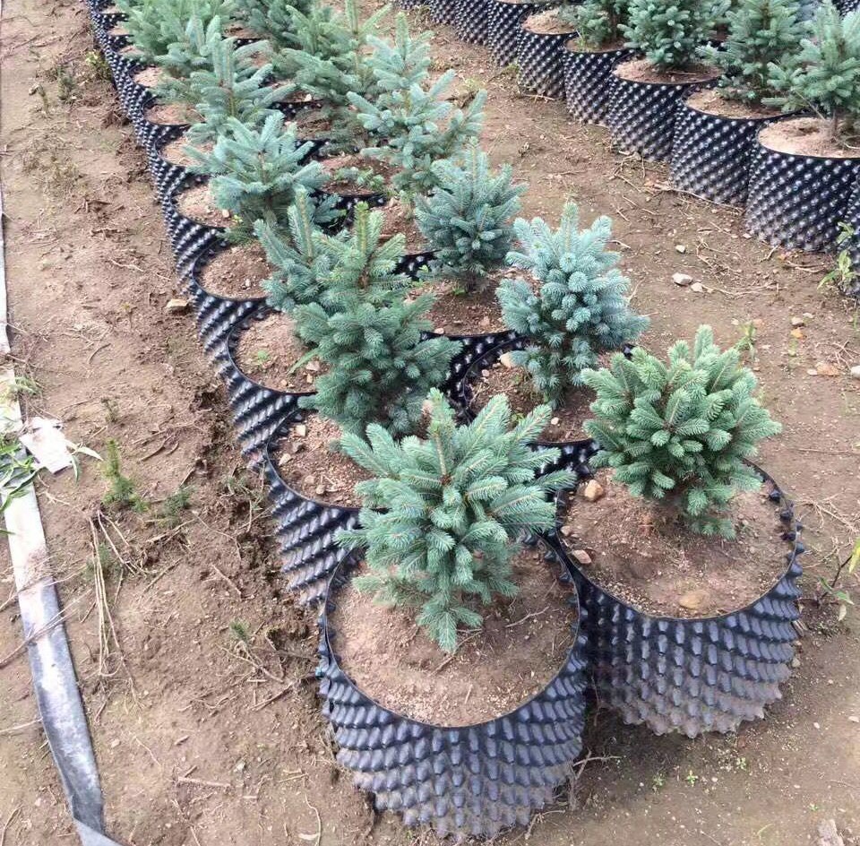 Hot Selling Round Box Soft Hydroponic Fresh Flower Pot Aging resistant