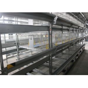  Professional Poultry Automation Equipment Low Noise For Chicken Shed Manufactures