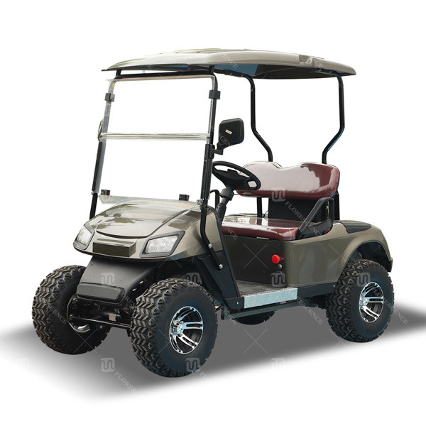 Blue color 2 Seats Mini Electric Power 4 Wheel 4 Kw Motors Golf Cart