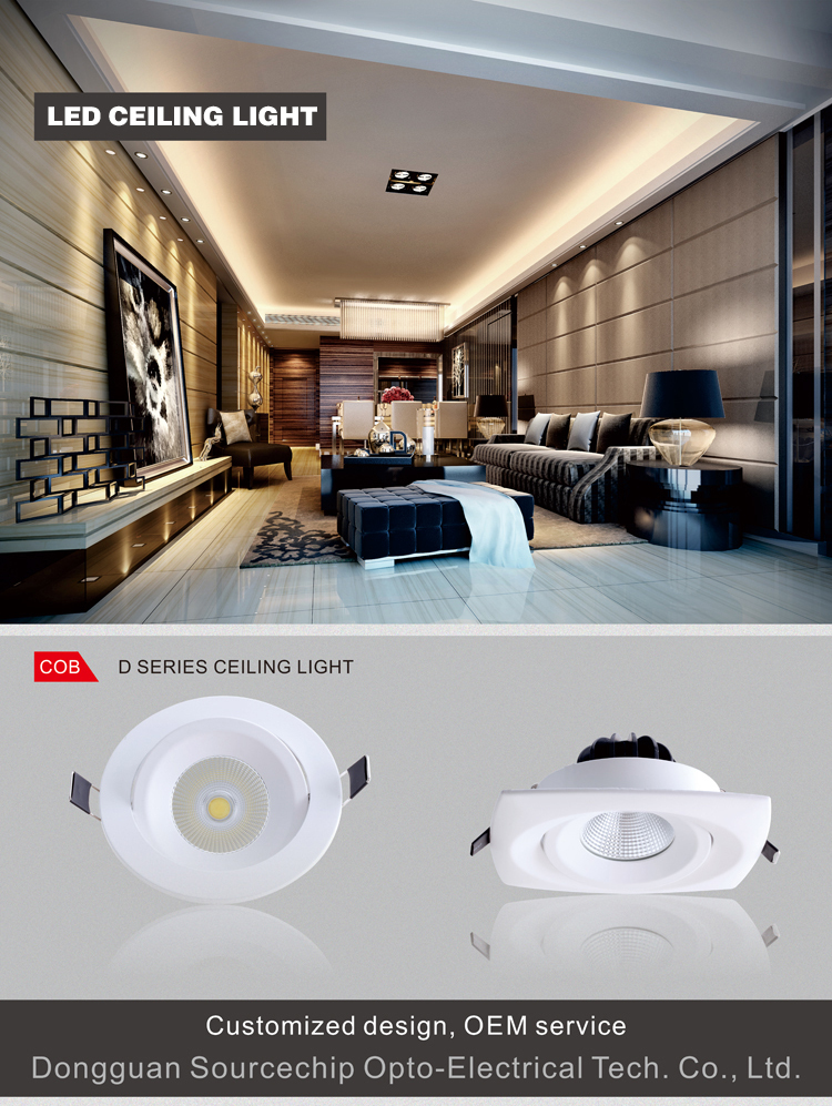 LED 10W COB ceiling light Chinese supplier