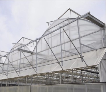 400N.m Output Torque Greenhouse Roll Up Motor for Optimal Ventilation and 550W Power