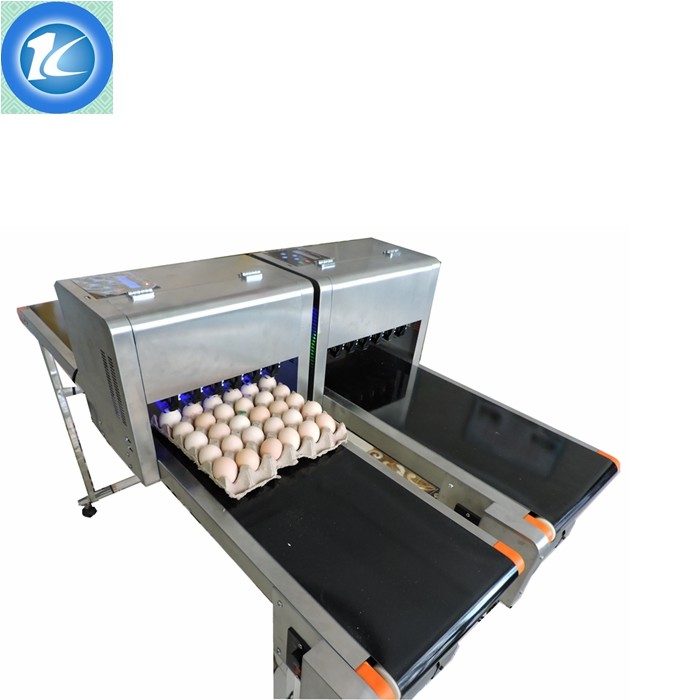 Automatic Jet Coding Machine Industrial Inkjet Barcode Printers On Egg Top And Sides