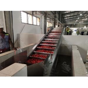 Tomato Sauce Processing Production Line With Daily Capacity Of 1,000 Tons