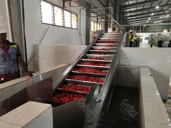 20T/H Automatic Tomato Processing Machine 304 Stainless Steel