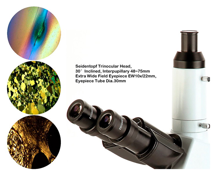 Comparison Polarizing Light Microscope Transmitted Light Microscopes CE A15.1019