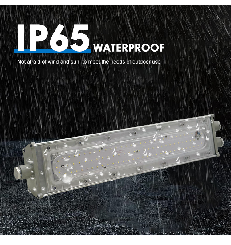 OEM Linear Hazardous Light Ex Proof Lighting 200w