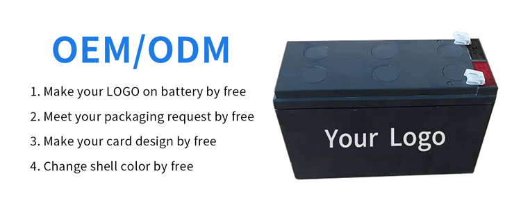 9000 Cycle Life Lithium Iron Phosphate Battery 12v 200ah Smart Bms Lifepo4 Battery Pack