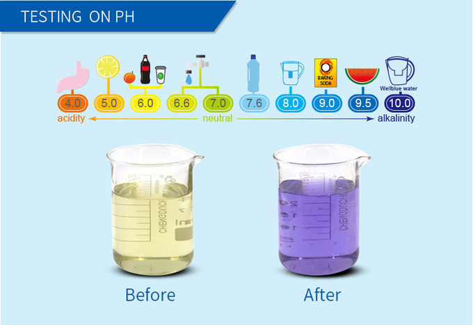 High Good Quality Wellblue Alkaline Water Filter Ionizer Jug Water Filter Machine LowPrice