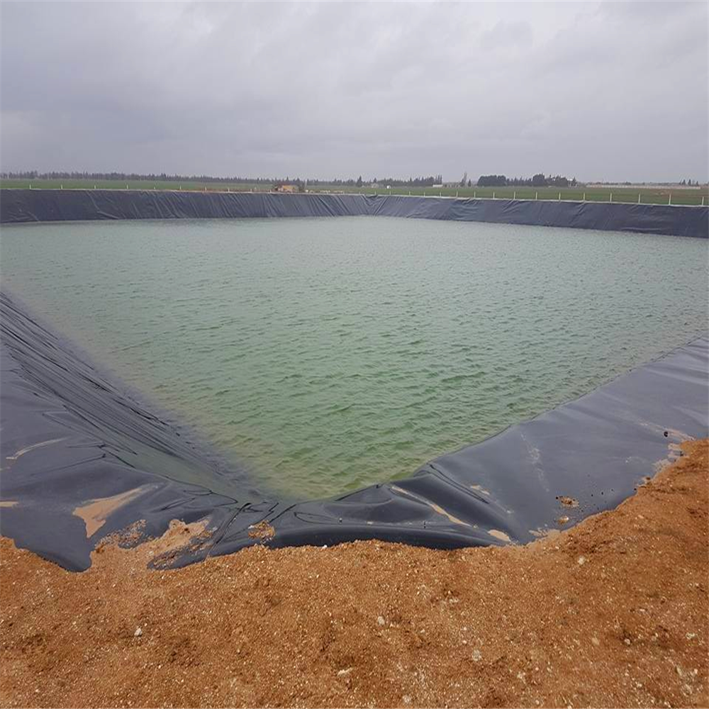 Contemporary 0.7mm 0.5mm 1mm Geomembranas Fish Farm Pond Liner Hdpe Geomembrane Sheet