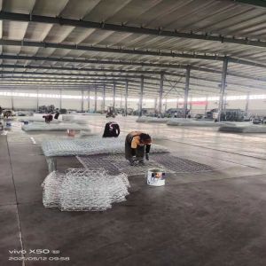 Galvanised 60x80mm 2.0MM Hexagonal Gabion Wire Mesh