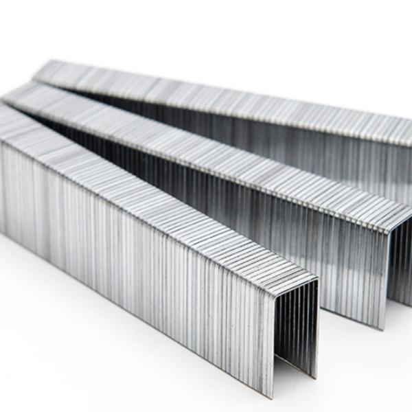Steel Wire Pneumatic Staple 20 Gauge 1/2 Crown 6mm for Upholstery Furniture