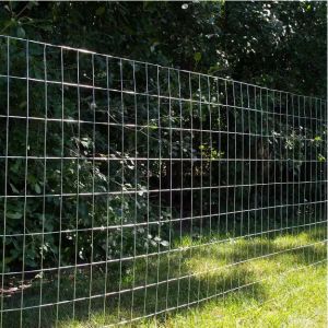 1.2Mm Hot Dipped Galvanized Iron Wire Mesh Roll for Protecting Mesh Bird Rabbit