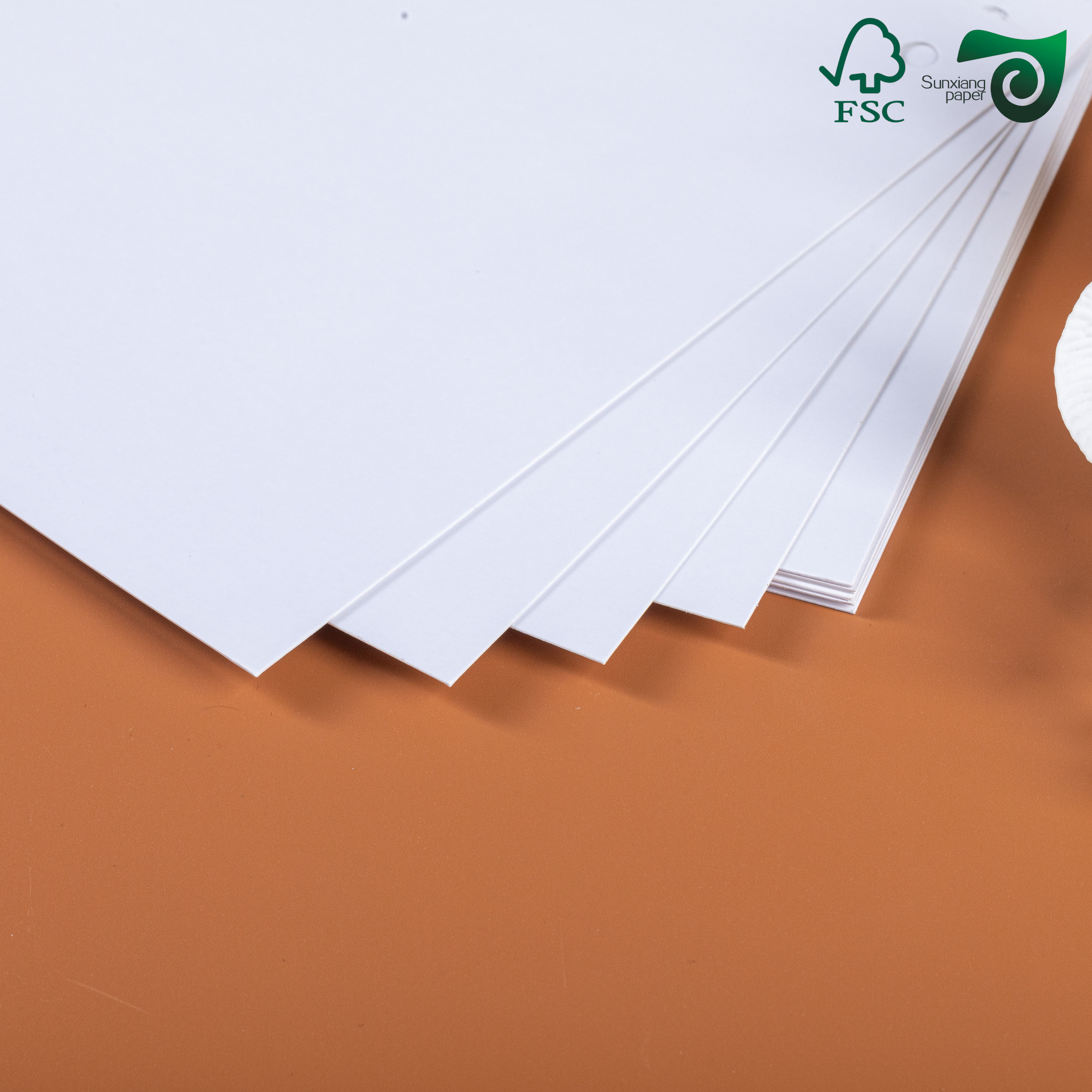 230gsm 250gsm 300gsm C1S White Cardboard FSC 635mm 700mm 914mm 1000mm